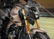Hero Xtreme 160R 4V Diluncurkan, Siap Saingi CB150R