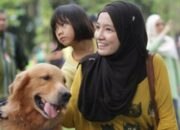 Hukum Memelihara Anjing dalam Islam