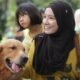 Hukum Memelihara Anjing dalam Islam