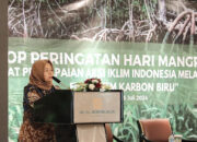 Indonesia Perluas Penanaman Mangrove untuk Atasi Krisis Iklim