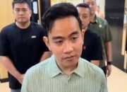 Pemotongan Anggaran Program Makan Bergizi Gratis Picu Kontroversi