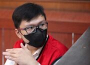 Terdakwa Pembunuh Dini Bebas, DPR Turun Tangan