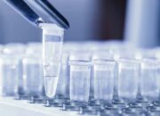 Virus Oropouche Berpotensi Menyebar ke Indonesia