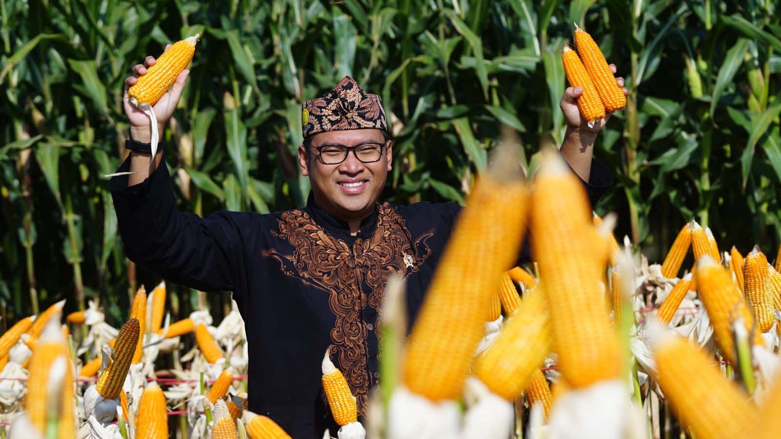 Wamentan Genjot Swasembada Pangan di Gebyar Perbenihan IX