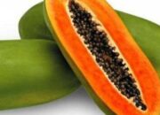 Manfaat Pepaya untuk Kesehatan dan Diet Sehat