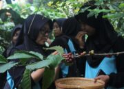 Desa Japan Masuk 10 Besar Desa Wisata Jateng