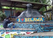 Eksplorasi Kura-kura Bulus di Objek Wisata Cikuya, Cirebon