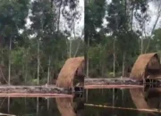 Desa Wisata Sei Gohong Masuk 50 Terbaik di Indonesia 2024