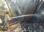 Dua Kebakaran Menghanguskan Perkebunan di Jatinangor
