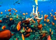 Eksplorasi Pulau Rubiah di Sabang di Aceh
