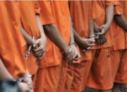 Empat Pemuda Ditangkap karena Mencuri Babi di Samosir