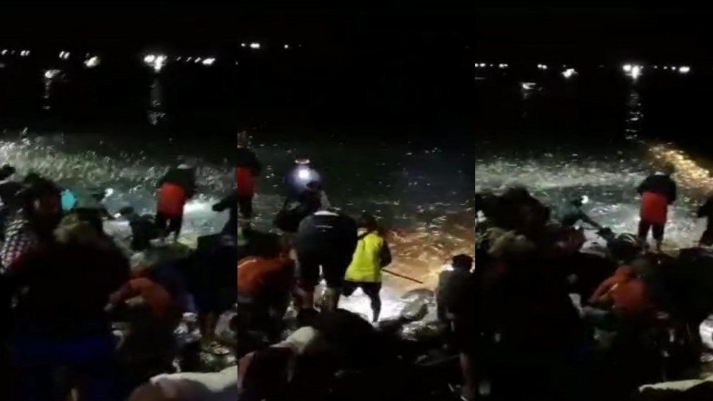 Fenomena Ikan Terbang di Tasikmalaya, Tanda Gempa Besar