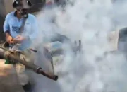 Fogging Massal di Batubara Cegah Demam Berdarah