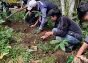 Hari Konservasi, Green dan Gemapala Hijaukan Bekas Tambang