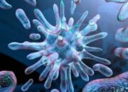 Infeksi Bakteri Resisten Menjadi Ancaman Global