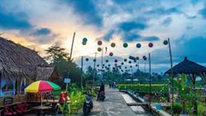 Keindahan Lahan Pertanian di Desa Cikaso