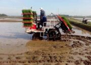 Pengembangan Lahan di Kalteng Mengunakan Teknologi Modern
