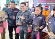 Penjual Satwa Dilindungi Ditangkap di Palembang