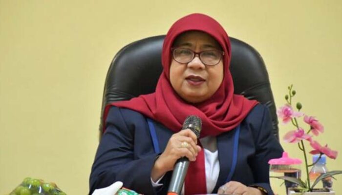 Pj Wali Kota Banjar Dorong Investor untuk Kembangkan Ekonomi