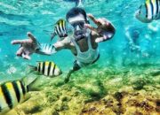 Menikmati Keindahan Bawah Laut di Pantai Nglambor, Yogyakarta