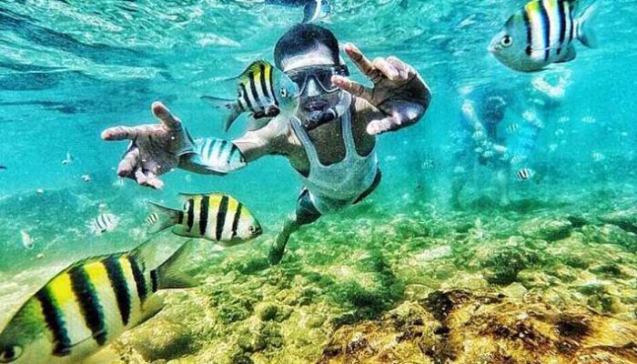 Menikmati Keindahan Bawah Laut di Pantai Nglambor, Yogyakarta