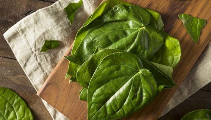 Tips Mengatasi Bau Badan dengan Bahan-Bahan Alami di Rumah