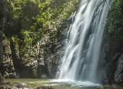 Curug Muara Jaya, Pesona Alam Tersembunyi di Lereng Gunung Ciremai