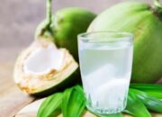 Manfaat Minum Air Kelapa Setiap Hari, Bikin Sehat dan Bugar!