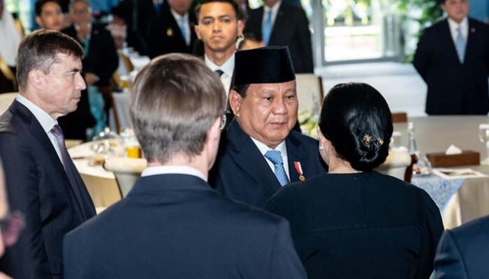 BPI Danantara Resmi Diluncurkan, Puan Harap Dongkrak Ekonomi Nasional