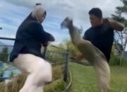 Cara Mudah Membuat Gerakan Kungfu Menggunakan AI di TikTok