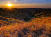 Eksotisme Bukit Wairinding, Surga Sabana di Sumba Timur