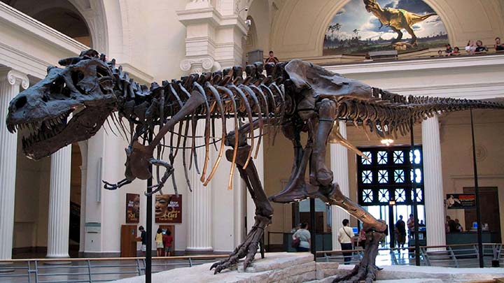 Menjelajahi Museum Fauna Terbesar ASEAN yang Ternyata Ada di Bogor!