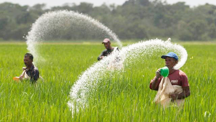 Target 500 Ribu Hektare! Pupuk Indonesia Genjot Produktivitas Pertanian