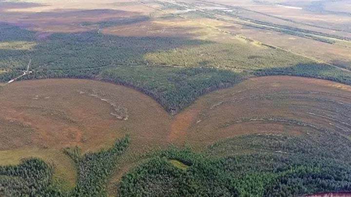 Benteng Kuno di Siberia Ungkap Peradaban Luar Biasa