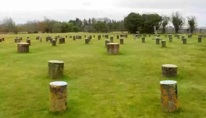 Situs Mirip Stonehenge Berusia 4.000 Tahun Ditemukan di Denmark