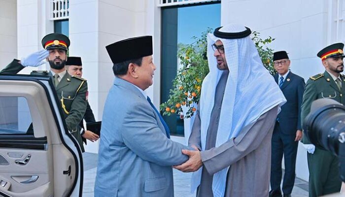 Bertemu Presiden MBZ, Prabowo Perkuat Kemitraan Strategis Indonesia-UEA