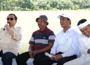 Panen Raya 2025, Dedi Mulyadi Serukan Perlindungan Kesehatan Petani