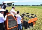 Petani Berseri di Panen Raya, Stok Beras Tertinggi 20 Tahun