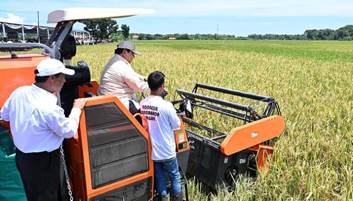 Petani Berseri di Panen Raya, Stok Beras Tertinggi 20 Tahun