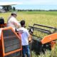 Petani Berseri di Panen Raya, Stok Beras Tertinggi 20 Tahun