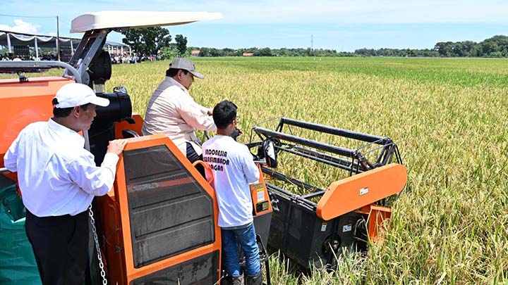 Petani Berseri di Panen Raya, Stok Beras Tertinggi 20 Tahun