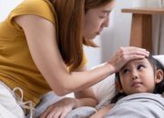 Tahapan Demam Berdarah pada Anak yang Wajib Diketahui