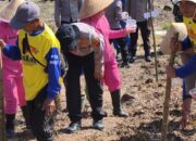 Polres Tasikmalaya dan Warga Tanam Jagung Demi Swasembada Pangan Nasional