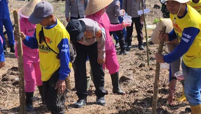 Polres Tasikmalaya dan Warga Tanam Jagung Demi Swasembada Pangan Nasional