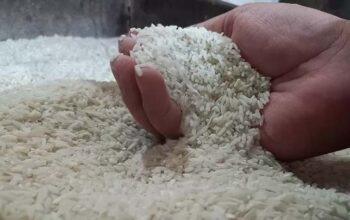 YLKI Desak Pemerintah Tindak Tegas Praktik Curang di Industri Beras