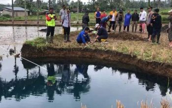 ESDM Turunkan Tim Ahli Geologi Selidiki Sinkhole 20 Meter di Limapuluh Kota
