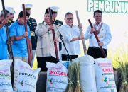 Swasembada Beras Tercapai, Prabowo Kritik Ketergantungan Impor Pangan