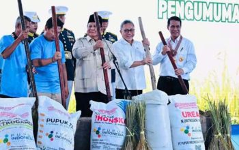 Swasembada Beras Tercapai, Prabowo Kritik Ketergantungan Impor Pangan